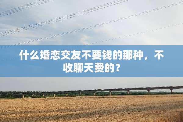 什么婚恋交友不要钱的那种，不收聊天费的？