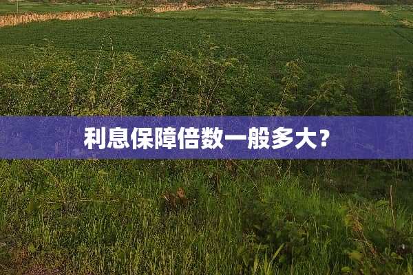 利息保障倍数一般多大？
