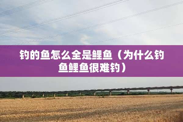 钓的鱼怎么全是鲤鱼（为什么钓鱼鲤鱼很难钓）