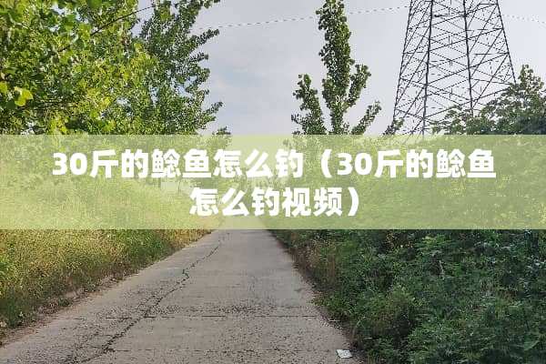 30斤的鲶鱼怎么钓（30斤的鲶鱼怎么钓视频）