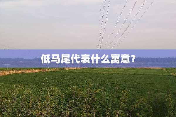 低马尾代表什么寓意？
