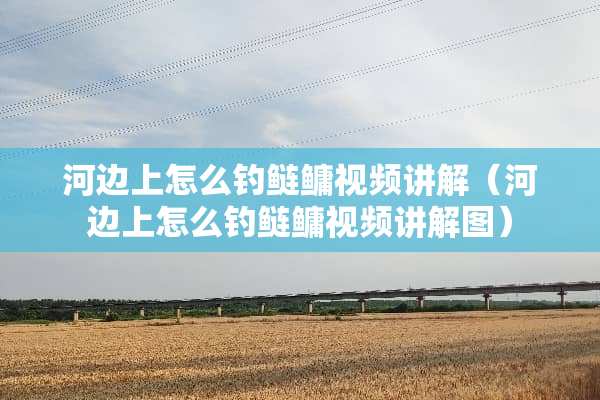 河边上怎么钓鲢鳙视频讲解（河边上怎么钓鲢鳙视频讲解图）