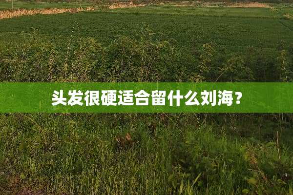 头发很硬适合留什么刘海？