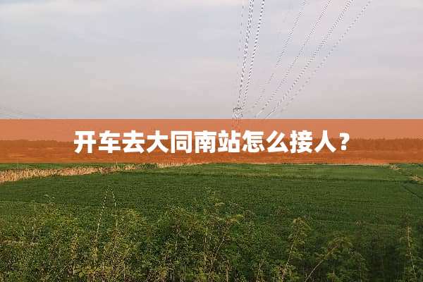 开车去大同南站怎么接人？