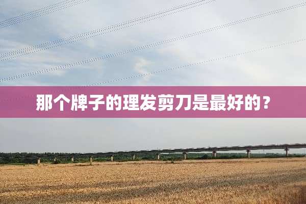 那个牌子的理发剪刀是最好的？