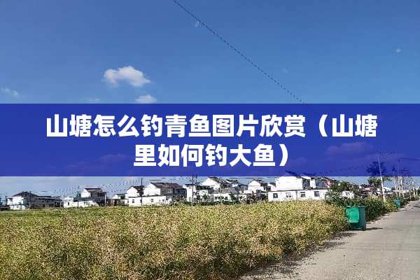 山塘怎么钓青鱼图片欣赏（山塘里如何钓大鱼）