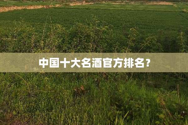 中国十大名酒官方排名？