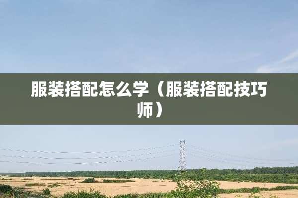 服装搭配怎么学（服装搭配技巧师）