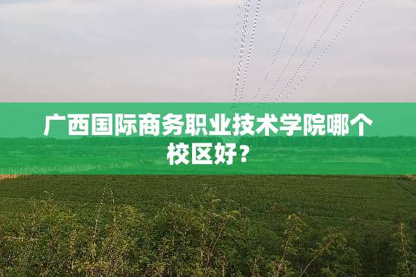 广西国际商务职业技术学院哪个校区好？