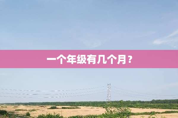 一个年级有几个月？