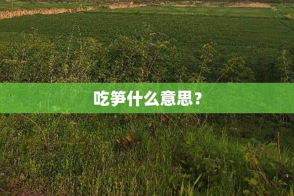 吃笋什么意思？