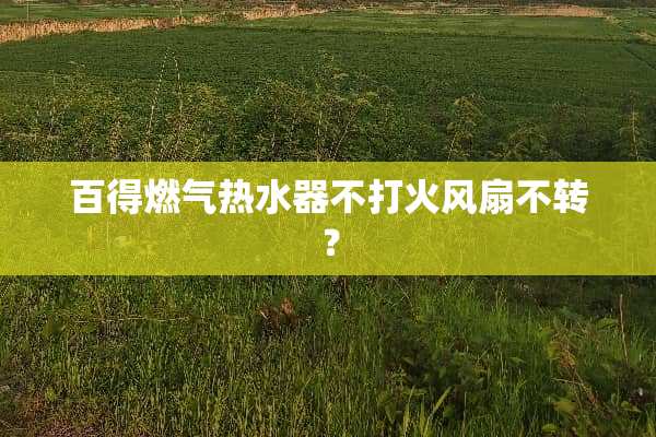 百得燃气热水器不打火风扇不转？