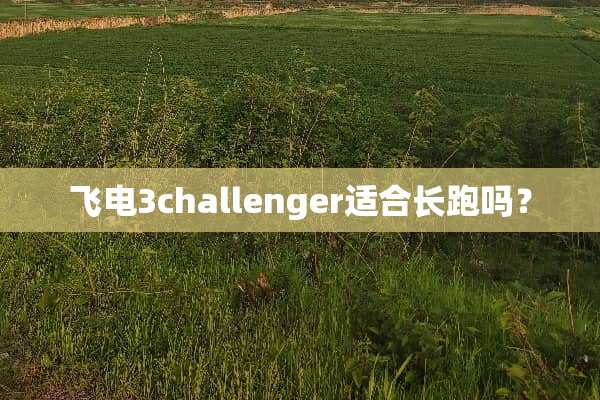 飞电3challenger适合长跑吗？