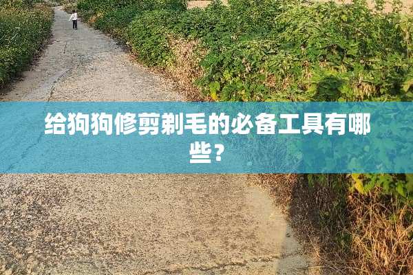 给狗狗修剪剃毛的必备工具有哪些？
