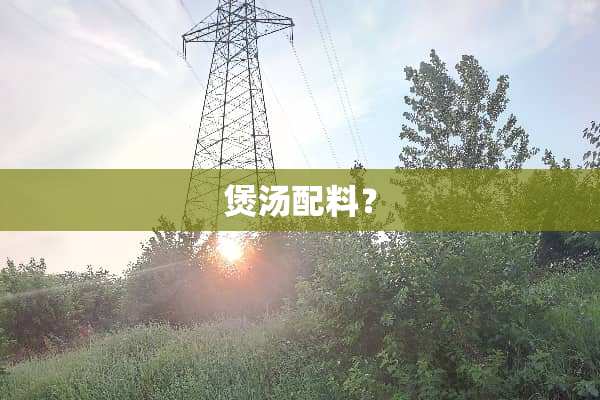 煲汤配料？