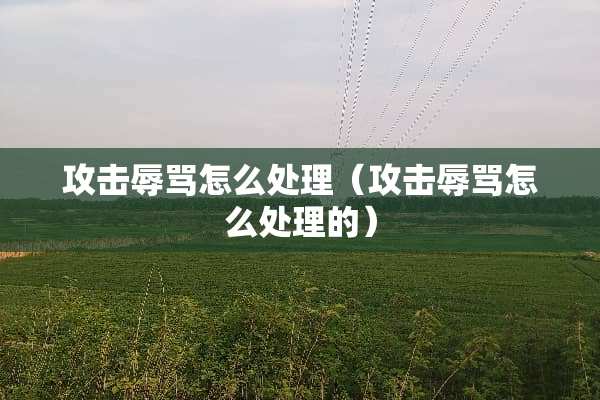 攻击辱骂怎么处理（攻击辱骂怎么处理的）