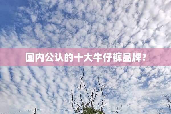 国内公认的十大牛仔裤品牌？