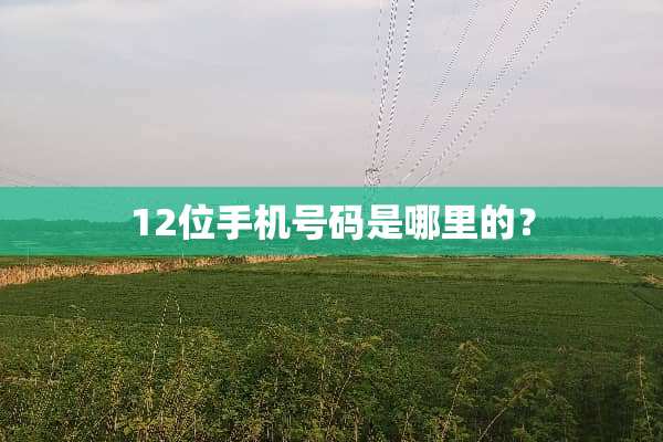 12位手机号码是哪里的？