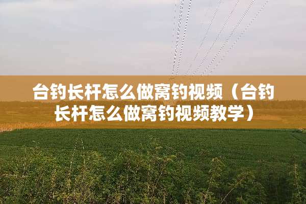 台钓长杆怎么做窝钓视频（台钓长杆怎么做窝钓视频教学）