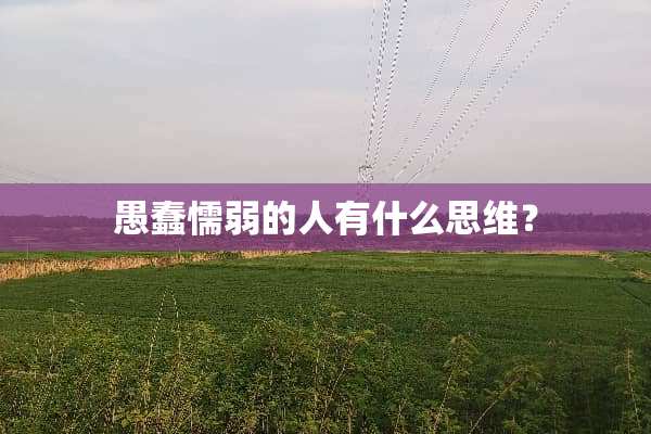愚蠢懦弱的人有什么思维？