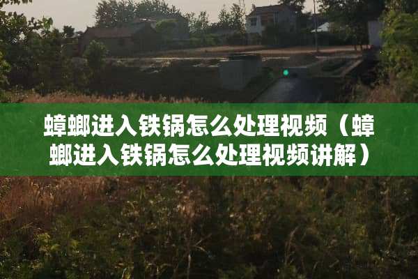 蟑螂进入铁锅怎么处理视频（蟑螂进入铁锅怎么处理视频讲解）