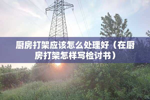 厨房打架应该怎么处理好（在厨房打架怎样写检讨书）
