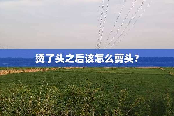 烫了头之后该怎么剪头？