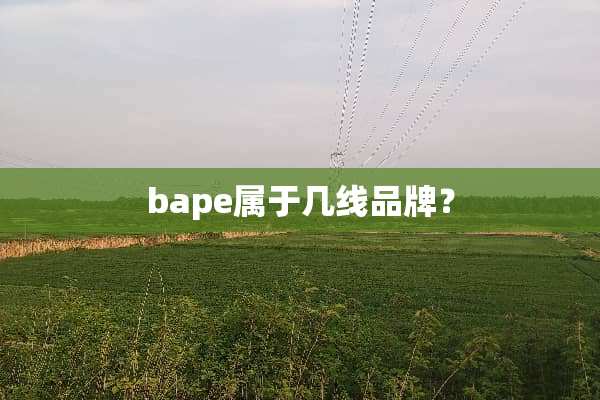 bape属于几线品牌？