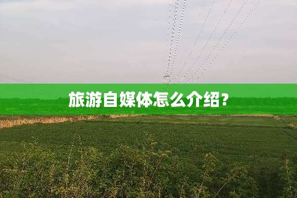旅游自媒体怎么介绍？