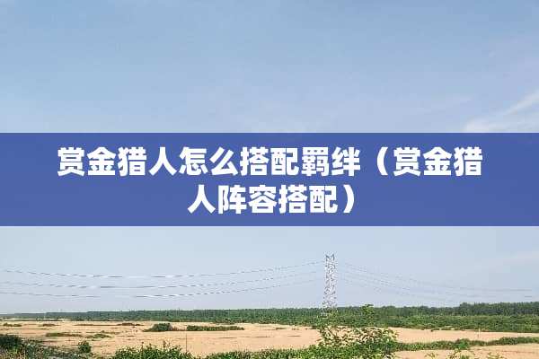 赏金猎人怎么搭配羁绊（赏金猎人阵容搭配）