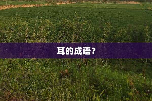 耳的成语？