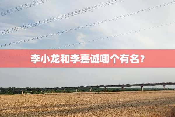 李小龙和李嘉诚哪个有名？