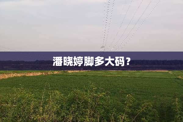 潘晓婷脚多大码？