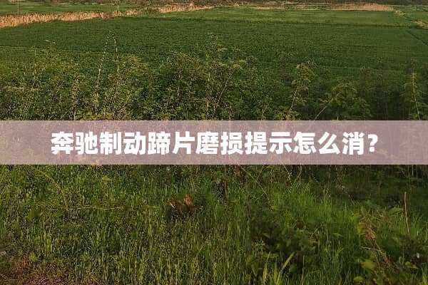 奔驰制动蹄片磨损提示怎么消？