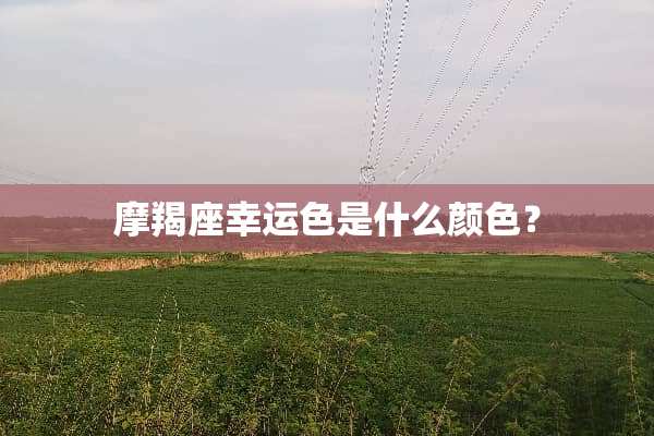 摩羯座幸运色是什么颜色？