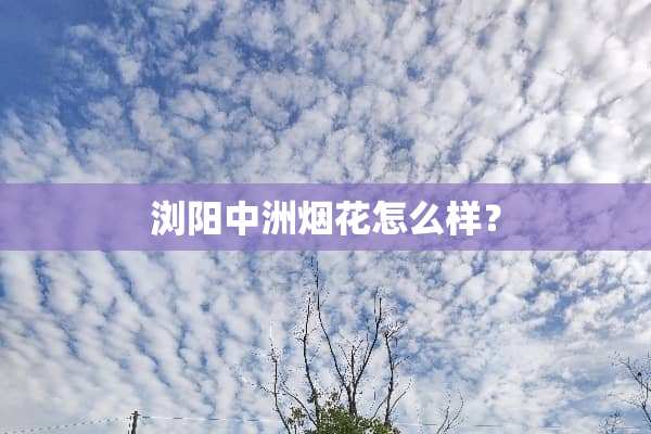 浏阳中洲烟花怎么样？