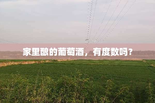 家里酿的葡萄酒，有度数吗？