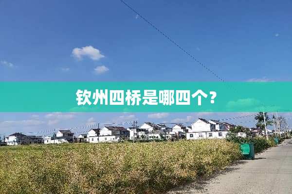 钦州四桥是哪四个？