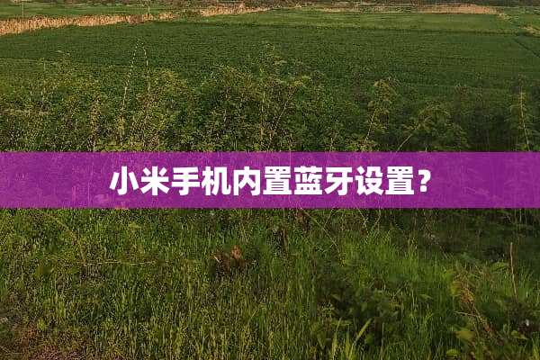 小米手机内置蓝牙设置？