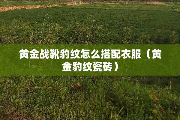 黄金战靴豹纹怎么搭配衣服（黄金豹纹瓷砖）