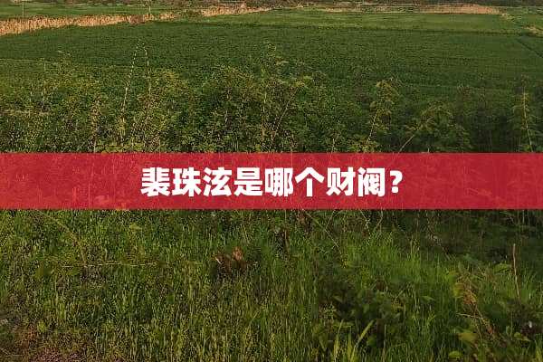 裴珠泫是哪个财阀？