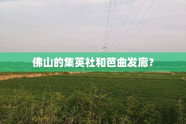佛山的集英社和芭曲发廊？