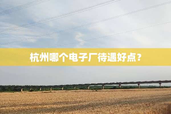 杭州哪个电子厂待遇好点？