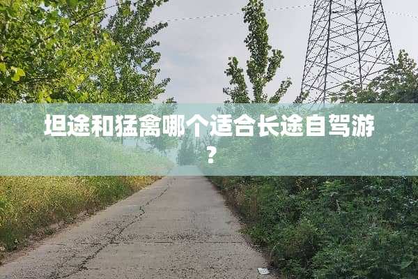坦途和猛禽哪个适合长途自驾游？