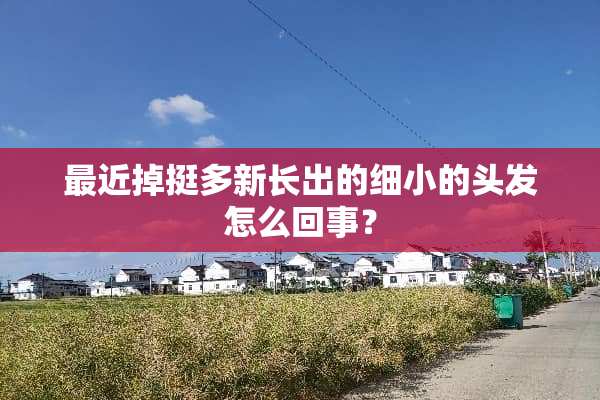 最近掉挺多新长出的细小的头发怎么回事？