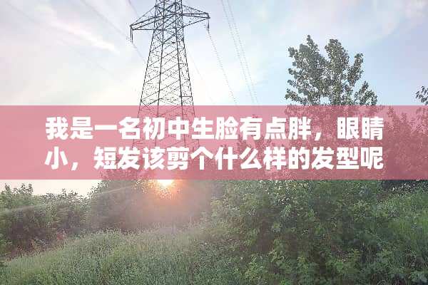 我是一名初中生脸有点胖，眼睛小，短发该剪个什么样的发型呢？