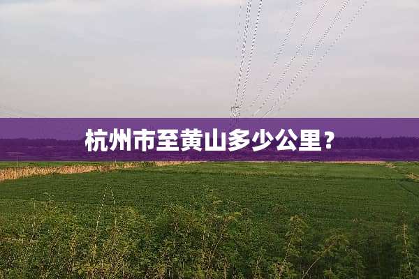 杭州市至黄山多少公里？