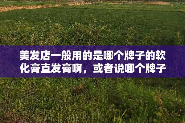 美发店一般用的是哪个牌子的软化膏直发膏啊，或者说哪个牌子的好啊？