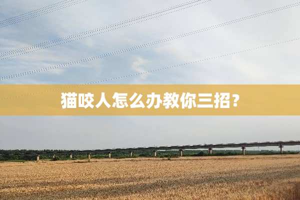 猫咬人怎么办教你三招？