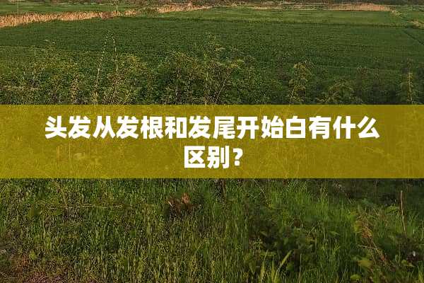 头发从发根和发尾开始白有什么区别？